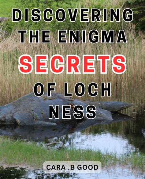 Discovering the Enigmatic Enigma