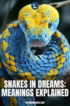 Discovering the Insights of Your Subconscious Mind through Snake Excrement in Dreams