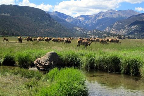 Discovering the Marvels of Boulder's Natural Landscape