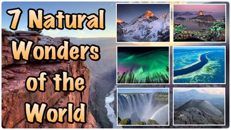Discovering the Marvels of the Natural World