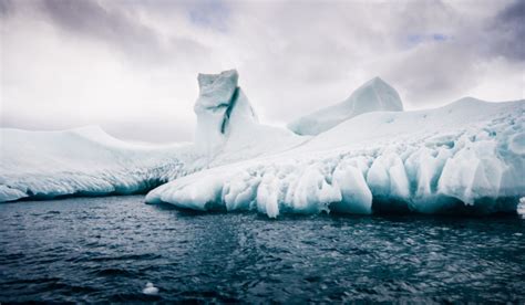 Dive into the Enchanting World of the Arctic Wilderness