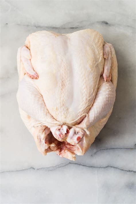 Dive into the World of Flavorful Trussed Poultry