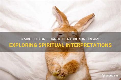 Diving Deeper: Exploring the Symbolic Significance of Envisioning Bunnies in One's Dreams