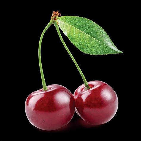 Diving Into the Symbolic Significance of the Green Cherry: From Folklore to Modern Interpretations