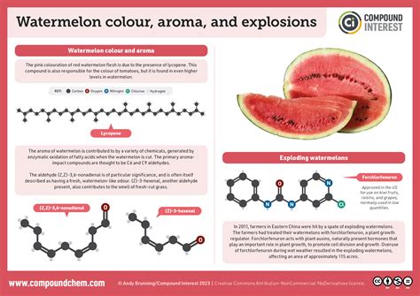 Diving into the Chemical Composition of Watermelons