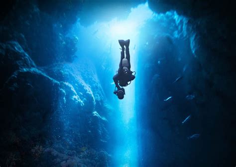 Diving into the Deep: Unveiling the Mystery of Dreams