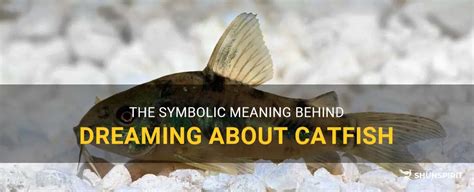 Diving into the Depths: Exploring the Symbolism of Dreaming of Holding a Catfish