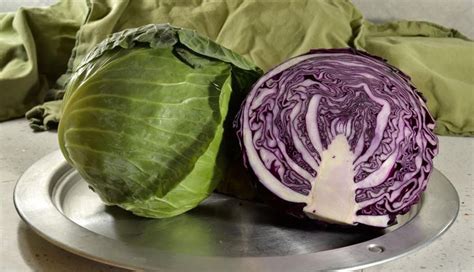 Diving into the History of Cooked Cabbage: From Ancient Times to Modern Cuisine