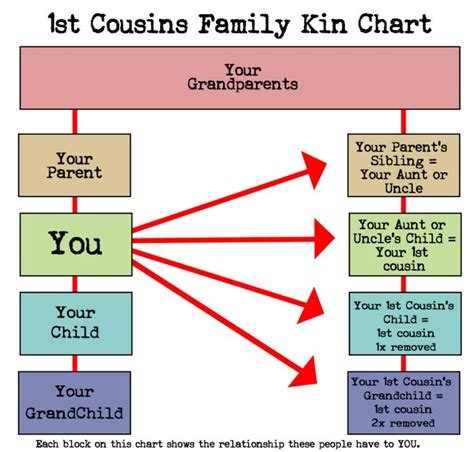 Diving into the Intriguing Bond: The Psychology of First Cousin Relationships