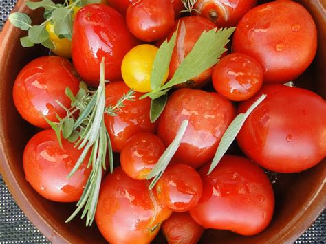 Diving into the World of Delectable Cooked Tomatoes