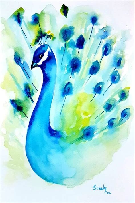 Drawing Inspiration from Nature: Peacock's Striking Hues