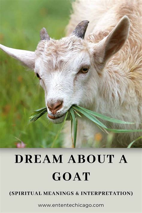 Dream About Goat Biting My Hand: Interpretation and Symbolism