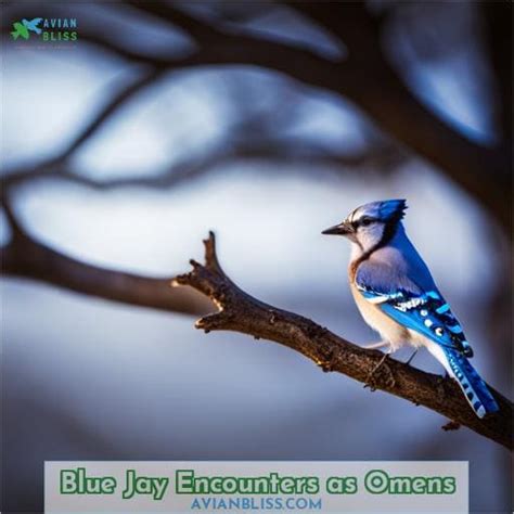 Dream Encounters with a Blue Jay: A Sign of Spiritual Awakening