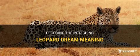 Dream Interpretation: Decoding the Symbolism of a Leopard's Bite