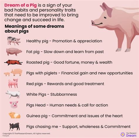 Dream Interpretation: The Symbolic Significance of a Pig's Flight