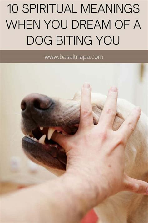 Dream Interpretation: Understanding the Significance of a Biting Canine Encounter