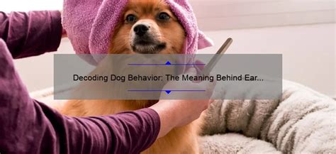 Dream Interpretation: Unleashing the Significance behind a Beige Canine Companion