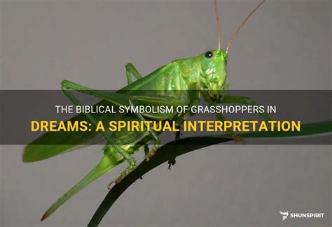 Dream Symbols: Decoding the Meaning of Grasshoppers in Dreams