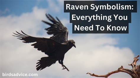 Dream of Striking a Raven: What Does It Symbolize?