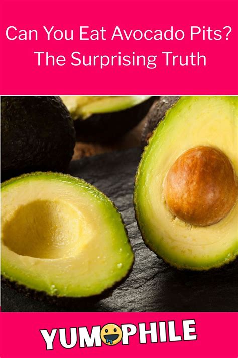 Dreaming of Avocado Pits: The Surprising Benefits