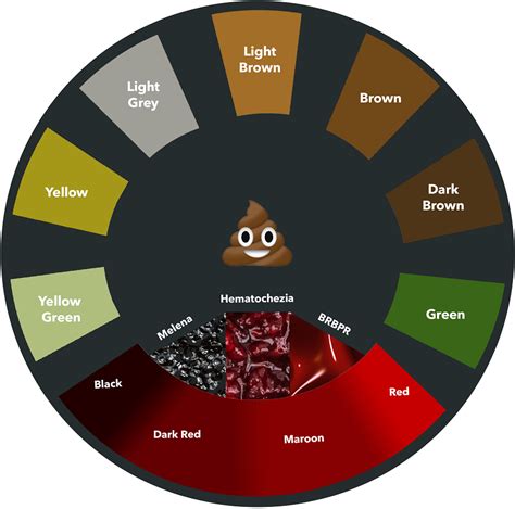 Dreaming of Blood in Stool: Potential Meanings