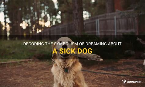 Dreaming of Dogs: Decoding the Symbolism