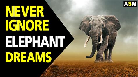 Dreaming of Elephants: A Glimpse into Your Emotional State