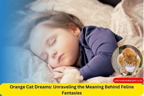 Dreaming of a Beloved Feline Companion: Discovering the Significance and Emblems