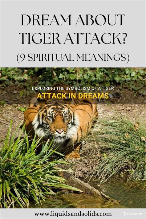 Dreaming of a Wounded Tiger: Exploring the Meaning of Dreams