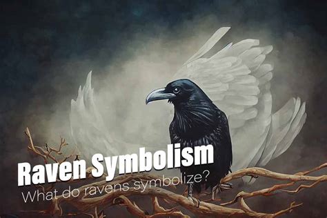 Dreaming of the Elusive Raven: An ancient symbol of mystery and magic