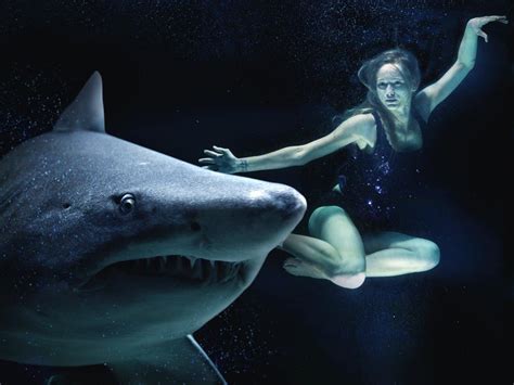 Dreams Involving Sharks: A Representation of Fear and Dominance