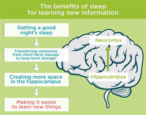 Dreams and Memory: The Impact of Sleep on Learning and Retaining Information