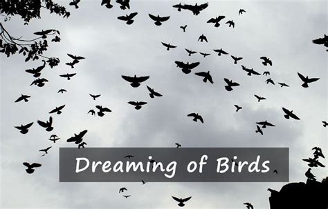 Dreams of Birds: Interpretations and Significance