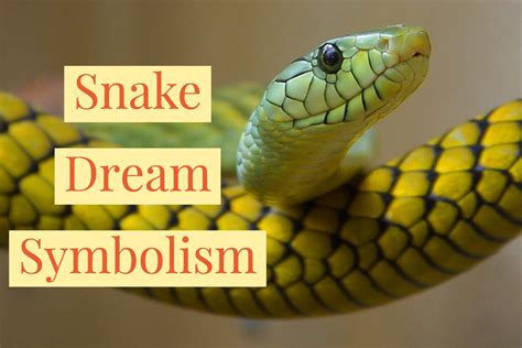 Dreams of Snakes in Your Ear: The Symbolic Representation