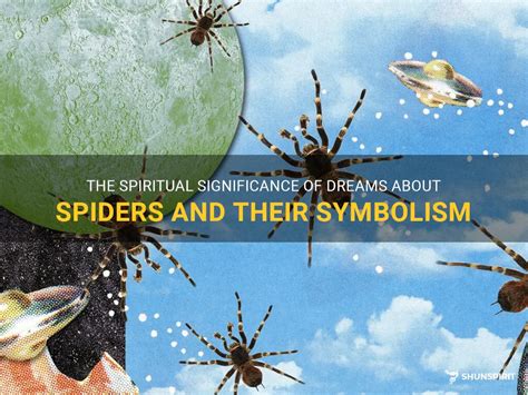 Dreams of Spiders and Their Symbolism