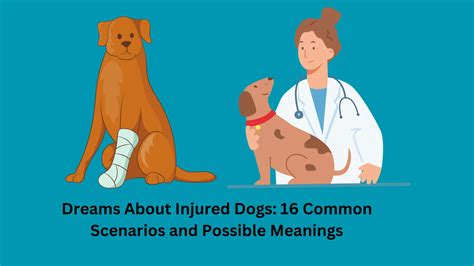 Dreams of an Injured Canine: The Fundamentals