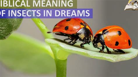 Dreams of bugs: What is the significance?