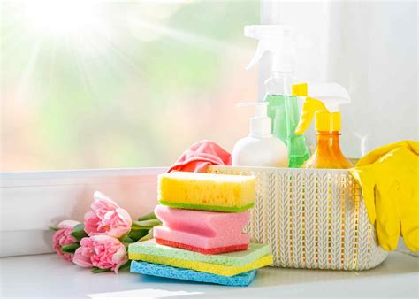 Dreams of the Magical Cleaning Products That Will Revitalize Your Living Spaces