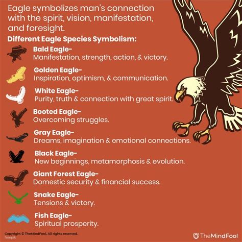 Eagle Symbolism in Various Cultures and Mythologies