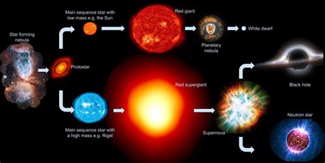 Early Life and Background of the Famous Star