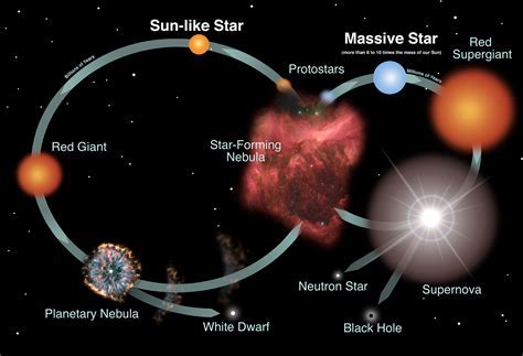 Early Life and Background of the Sensational Star