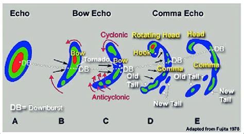 Early Life and Educational Background of Echoe Matthews