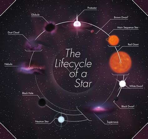 Early Life of the Enigmatic Star