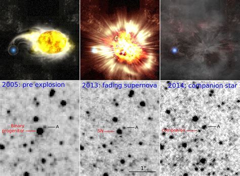 Early Years and Academic Background of the Enigmatic Star