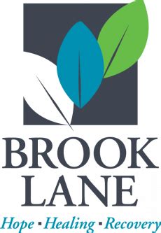 Early Years and Background of Brooke Lane