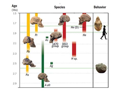 Early Years and Origins