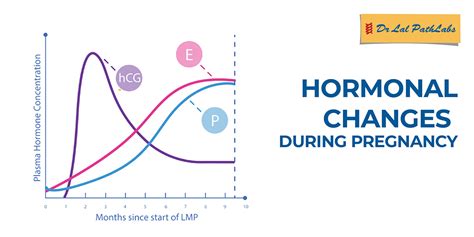 Effect of Hormonal Fluctuations on Manifestations of Aggressive Dreams During Maternity
