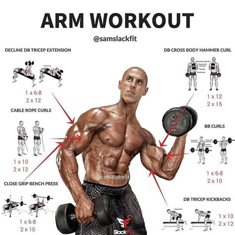 Effective Exercises for Stronger and More Defined Arm Muscles