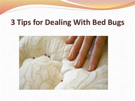 Effective Strategies for Coping with Dreams about Bed Bugs