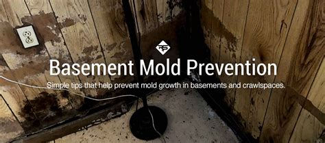 Effective Strategies to Prevent the Growth of Mold